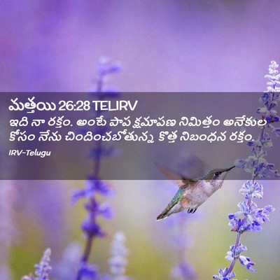 Picture 02 - మత్తయి 26:28 TELIRV - ఇది నా రక్తం. అంటే - Bible Verse Picture
