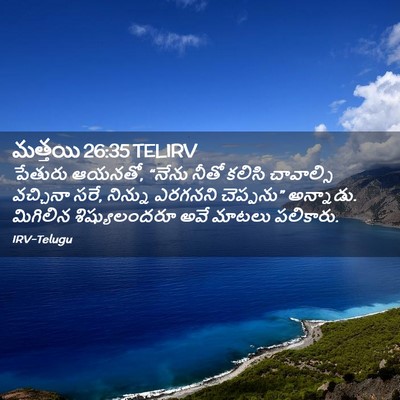 Picture 02 - మత్తయి 26:35 TELIRV - పేతురు ఆయనతో, - Bible Verse Picture