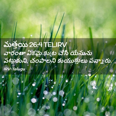 Picture 02 - మత్తయి 26:4 TELIRV - వారంతా ఏకమై కుట్ర - Bible Verse Picture