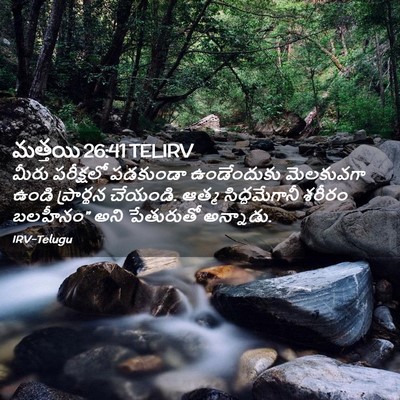 Picture 02 - మత్తయి 26:41 TELIRV - మీరు పరీక్షలో - Bible Verse Picture