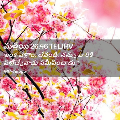 Picture 02 - మత్తయి 26:46 TELIRV - ఇంక వెళ్దాం, - Bible Verse Picture
