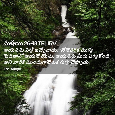 Picture 02 - మత్తయి 26:48 TELIRV - ఆయనను పట్టి - Bible Verse Picture