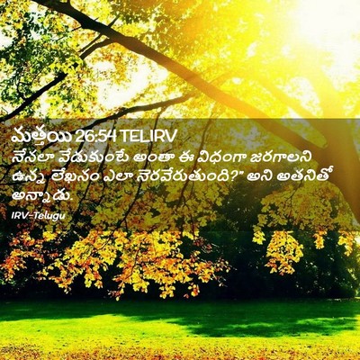 Picture 02 - మత్తయి 26:54 TELIRV - నేనలా వేడుకుంటే - Bible Verse Picture