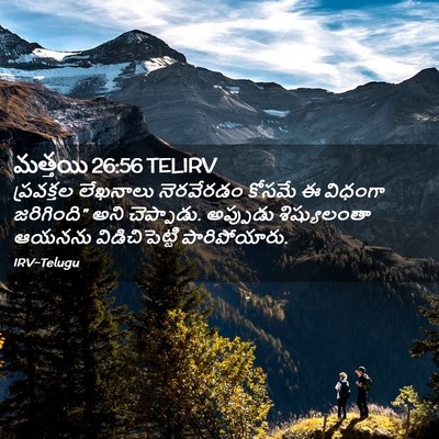 Picture 02 - మత్తయి 26:56 TELIRV - ప్రవక్తల లేఖనాలు - Bible Verse Picture