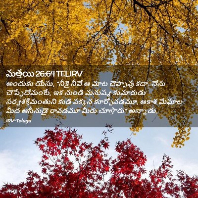Picture 02 - మత్తయి 26:64 TELIRV - అందుకు యేసు, “నీకై - Bible Verse Picture