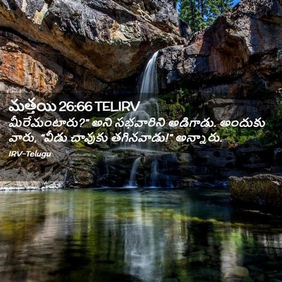 Picture 02 - మత్తయి 26:66 TELIRV - మీరేమంటారు?” అని - Bible Verse Picture