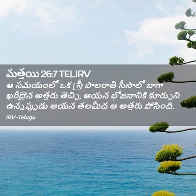 Picture 02 - మత్తయి 26:7 TELIRV - ఆ సమయంలో ఒక స్త్రీ - Bible Verse Picture