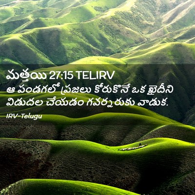 Picture 02 - మత్తయి 27:15 TELIRV - ఆ పండగలో ప్రజలు - Bible Verse Picture