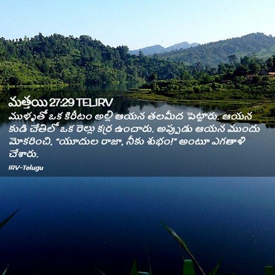 Picture 02 - మత్తయి 27:29 TELIRV - ముళ్ళతో ఒక కిరీటం - Bible Verse Picture