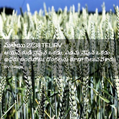 Picture 02 - మత్తయి 27:38 TELIRV - ఆయన కుడి వైపున - Bible Verse Picture