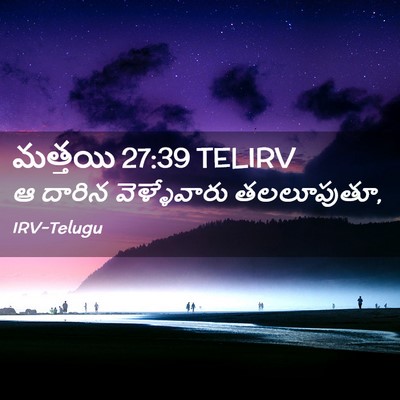Picture 02 - మత్తయి 27:39 TELIRV - ఆ దారిన - Bible Verse Picture