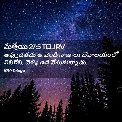 Picture 02 - మత్తయి 27:5 TELIRV - అప్పుడతడు ఆ వెండి - Bible Verse Picture