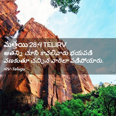 Picture 02 - మత్తయి 28:4 TELIRV - అతన్ని చూసి - Bible Verse Picture
