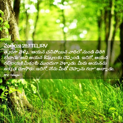 Picture 02 - మత్తయి 28:7 TELIRV - త్వరగా వెళ్ళి, - Bible Verse Picture