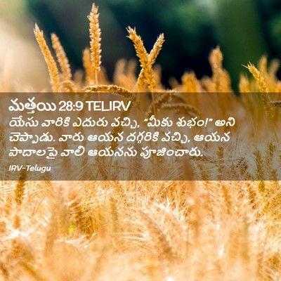 Picture 02 - మత్తయి 28:9 TELIRV - యేసు వారికి ఎదురు - Bible Verse Picture