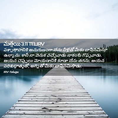 Picture 02 - మత్తయి 3:11 TELIRV - పశ్చాత్తాపానికి - Bible Verse Picture