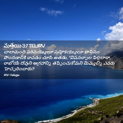 Picture 02 - మత్తయి 3:7 TELIRV - చాలామంది - Bible Verse Picture