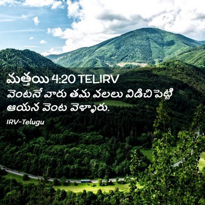 Picture 02 - మత్తయి 4:20 TELIRV - వెంటనే వారు తమ - Bible Verse Picture