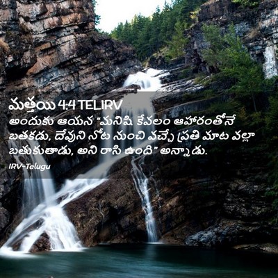 Picture 02 - మత్తయి 4:4 TELIRV - అందుకు ఆయన “మనిషి - Bible Verse Picture