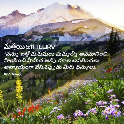 Picture 02 - మత్తయి 5:11 TELIRV - “నన్ను బట్టి - Bible Verse Picture
