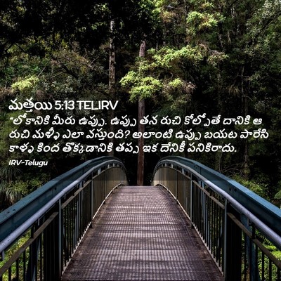 Picture 02 - మత్తయి 5:13 TELIRV - “లోకానికి మీరు - Bible Verse Picture