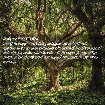 Picture 02 - మత్తయి 5:19 TELIRV - కాబట్టి ఈ - Bible Verse Picture