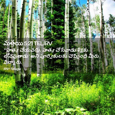 Picture 02 - మత్తయి 5:21 TELIRV - “‘హత్య చేయవద్దు. - Bible Verse Picture
