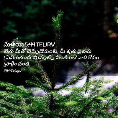 Picture 02 - మత్తయి 5:44 TELIRV - నేను మీతో - Bible Verse Picture
