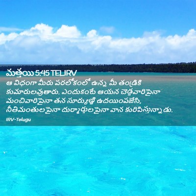 Picture 02 - మత్తయి 5:45 TELIRV - ఆ విధంగా మీరు - Bible Verse Picture