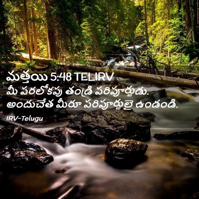 Picture 02 - మత్తయి 5:48 TELIRV - మీ పరలోకపు తండ్రి - Bible Verse Picture