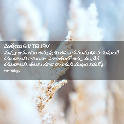 Picture 02 - మత్తయి 6:17 TELIRV - నువ్వు ఉపవాసం - Bible Verse Picture