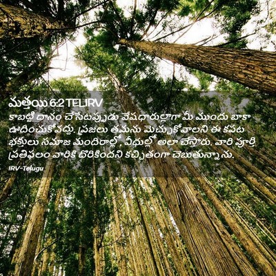 Picture 02 - మత్తయి 6:2 TELIRV - కాబట్టి దానం - Bible Verse Picture