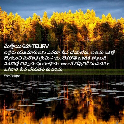 Picture 02 - మత్తయి 6:24 TELIRV - ఇద్దరు యజమానులకు - Bible Verse Picture