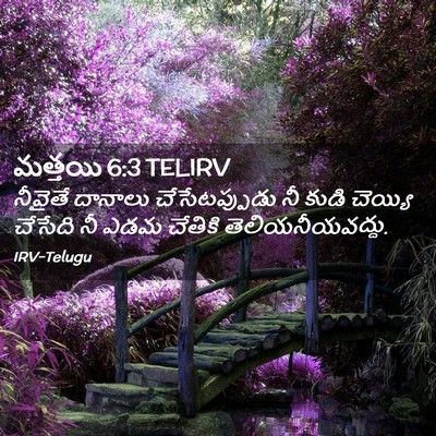 Picture 02 - మత్తయి 6:3 TELIRV - నీవైతే దానాలు - Bible Verse Picture