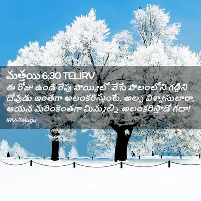 Picture 02 - మత్తయి 6:30 TELIRV - ఈ రోజు ఉండి రేపు - Bible Verse Picture