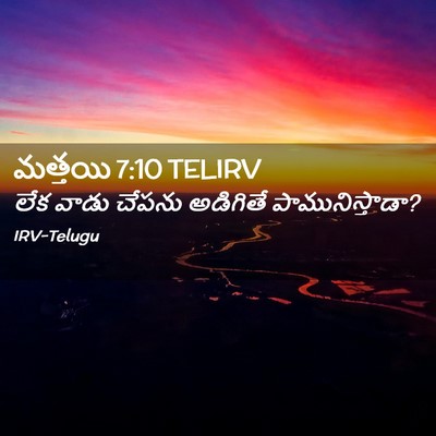 Picture 02 - మత్తయి 7:10 TELIRV - లేక వాడు చేపను - Bible Verse Picture