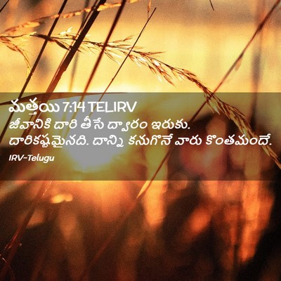 Picture 02 - మత్తయి 7:14 TELIRV - జీవానికి దారి - Bible Verse Picture