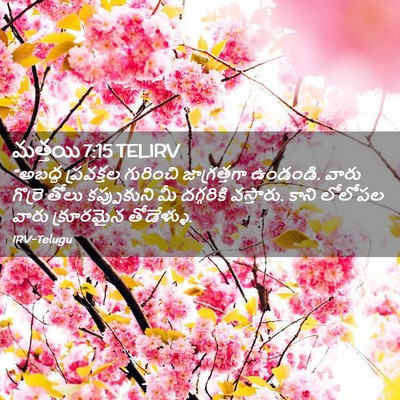 Picture 02 - మత్తయి 7:15 TELIRV - “అబద్ధ ప్రవక్తల - Bible Verse Picture