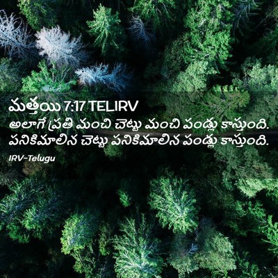 Picture 02 - మత్తయి 7:17 TELIRV - అలాగే ప్రతి మంచి - Bible Verse Picture