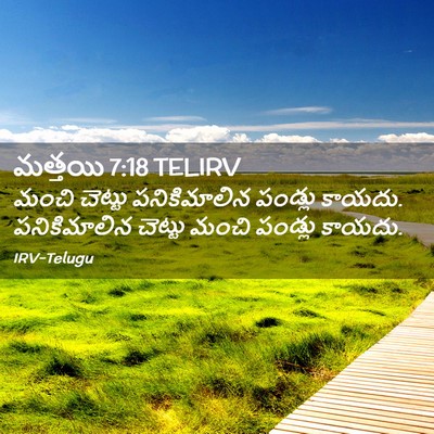 Picture 02 - మత్తయి 7:18 TELIRV - మంచి చెట్టు - Bible Verse Picture