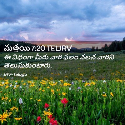 Picture 02 - మత్తయి 7:20 TELIRV - ఈ విధంగా మీరు వారి - Bible Verse Picture