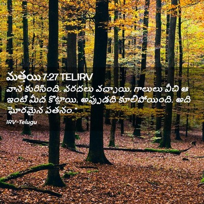 Picture 02 - మత్తయి 7:27 TELIRV - వాన కురిసింది. - Bible Verse Picture