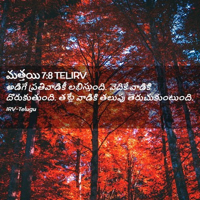 Picture 02 - మత్తయి 7:8 TELIRV - అడిగే ప్రతివాడికీ - Bible Verse Picture
