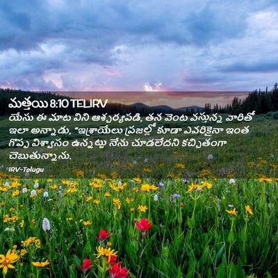 Picture 02 - మత్తయి 8:10 TELIRV - యేసు ఈ మాట విని - Bible Verse Picture