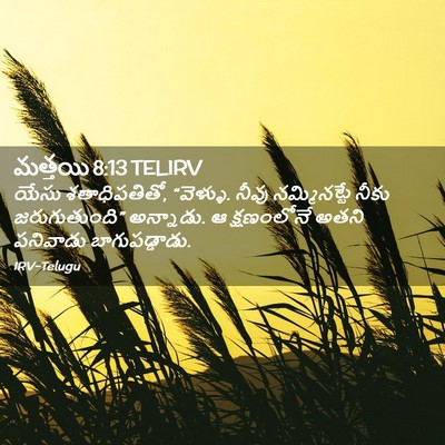 Picture 02 - మత్తయి 8:13 TELIRV - యేసు శతాధిపతితో, - Bible Verse Picture