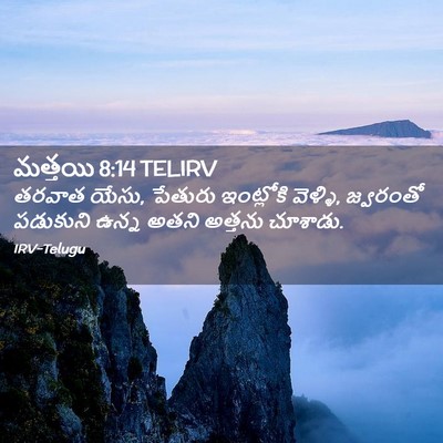 Picture 02 - మత్తయి 8:14 TELIRV - తరవాత యేసు, పేతురు - Bible Verse Picture