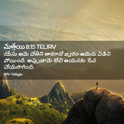 Picture 02 - మత్తయి 8:15 TELIRV - యేసు ఆమె చేతిని - Bible Verse Picture