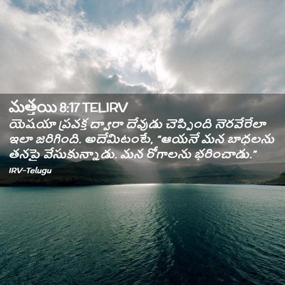 Picture 02 - మత్తయి 8:17 TELIRV - యెషయా ప్రవక్త - Bible Verse Picture