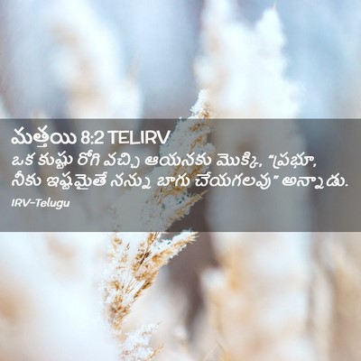 Picture 02 - మత్తయి 8:2 TELIRV - ఒక కుష్టు రోగి - Bible Verse Picture