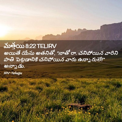 Picture 02 - మత్తయి 8:22 TELIRV - అయితే యేసు అతనితో, - Bible Verse Picture